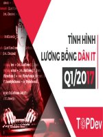 Bản sao của báo cáo ngành IT 2017
