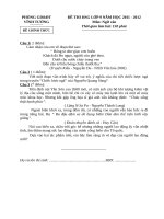 Đề thi học sinh giỏi môn Văn