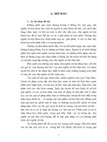 quá trình vận dụng lý luận và thực tiễn của chủ nghĩa xã hội phi mác xít và chủ nghĩa xã hội khoa học ở việt nam hiện nay