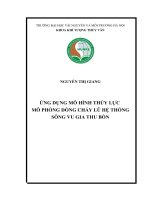 ỨNG DỤNG MÔ HÌNH THỦY LỰC  MÔ PHỎNG DÒNG CHẢY LŨ HỆ THỐNG SÔNG VU GIA THU BỒN