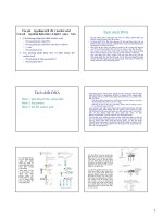 các kỹ thuật trong sinh học phân tử
