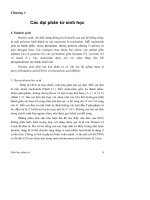 Giáo trình sinh học phân tử  đầy đủ