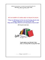 DTNCKHSP “Nâng cao chất lượng các báo cáo của các tổ trưởng chuyên môn trường Trung học cơ sở Lương Thế Vinh bằng cách sử dụng Tiện ích excel trong quản lý chuyên môn”.