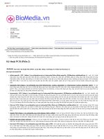 Kỹ thuật PCR trong sinh học phân tử