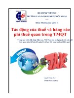Kinh Tế Quốc tế Tác động của thuế XNK và hàng rào phi thuế quan