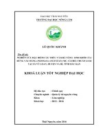 Nghiên cứu đặc điểm cấu trúc và khả năng sinh khối của rừng vầu đắng (indosasa angustata mc  clure) thuần loài tại xã vũ loan   huyện na rì   tỉnh bắc kạn 