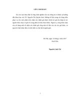 Giải pháp huy động vốn cho việc phát triển kinh tế biển huyện Vân Đồn, tỉnh Quảng Ninh