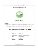 Nghiên cứu ảnh hưởng của nồng độ và thời gian ngâm tẩm dung dịch lá xoan đến khả năng bảo quản gỗ Keo lai