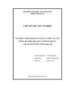 Tìm hiểu tình hình sản xuất cà phê của các nông hộ trên địa bàn xã bình thuận, thị xã buôn hồ, tỉnh daklak