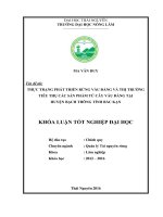 Thực trạng phát triển rừng Vầu đắng và thị trường tiêu thụ các sản phẩm từ rừng vầu đắng tại Huyện Bạch Thông Tỉnh Bắc Kạn