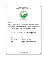 Đánh giá thực trạng và đề xuất giải pháp phát triển bền vững chương trình sản xuất cam sành tại xã yên thuận   huyện hàm yên   tỉnh tuyên quang 