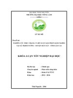 Nghiên cứu thực trạng và đề xuất giải pháp giảm nghèo tại xã trịnh tường   huyện bát xát   tỉnh lào cai 