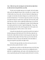 Bài thu hoạch đảng viên mới