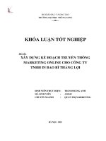 Xây dựng kế hoạch truyền thông marketing online cho công ty TNHH in bao bì thắng lợi 2 (Khóa luận tốt nghiệp)