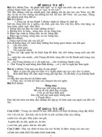 Tiếng Việt  Hệ thống đề giao lưu HSG Tiếng Việt