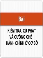 TRUNG CẤP LÍ LUẬN CHÍNH TRỊ HÀNH CHÍNH - NĂM 2017 BÀI GIẢNG HỌC PHẦN III.2. Bài kiểm tra, xử phạt, cưỡng chế