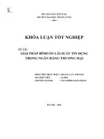 Giải pháp bình ổn lãi suất tín dụng trong ngân hàng thương mại (Khóa luận tốt nghiệp)