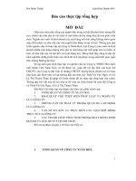 Đề tài thực hiện pháp luật và nghĩa vụ của công ty xuân hòa   luận văn, đồ án, đề tài tốt nghiệp 