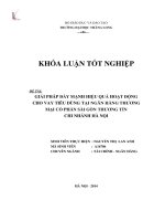 Giải pháp đẩy mạnh hiệu quả hoạt động cho vay tiêu dùng tại ngân hàng TMCP Sài gòn Thương tín chi nhánh Hà Nội (Khóa luận tốt nghiệp)