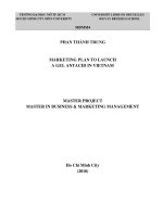 Marketing plan to launch a gel antacid brand in vietnam market  master project in business and marketing management 
