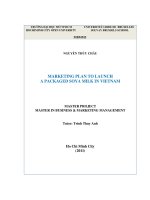 Marketing plan to launch a packaged soya milk in vietnam  final project master in business  marketing management 
