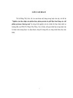 Nghiên cứu thu nhận sản phẩm thủy phân protein từ phế liệu tôm bằng các chế phẩm protease thương mại 