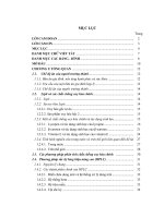 Xác định hàm lượng β   caroten, lycopen và vitamin e trong khẩu phần ăn của người trưởng thành tại các vùng sinh thái khác nhau 