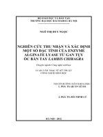 Nghiên cứu thu nhận và xác định một số đặc tính của enzyme alginate lyase từ gan tụy ốc bàn tay lambis chiragra 