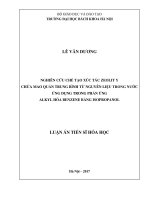 Nghiên cứu chế tạo xúc tác zeolity chứa mao quản trung bình từ nguyên liệu trong nước ứng dụng trong phản ứng alkyl hóa benzene bằng isopropanol 