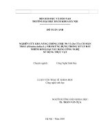 Nghiên cứu khả năng chống chịu pb và zn của cỏ mần trần (eleusine indica l ) nhằm ứng dụng trong xử lý đất nhiễm kim loại này bằng công nghệ sử dụng thực vật 