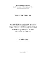 Nghiên cứu một số đặc điểm sinh học và quy trình nuôi trồng nấm ngọc châm (hypsizygus marmoreus  singer) 
