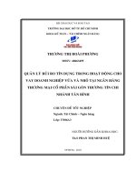 Quản lý rủi ro tín dụng trong hoạt động cho vay doanh nghiệp vừa và nhỏ tại ngân hàng thương mại cổ phần sài gòn thương tín chi nhánh tân bình  