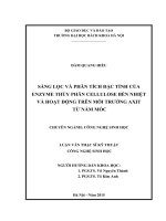 Sàng lọc và phân tích đặc tính của enzyme thủy phân cellulose bền nhiệt và hoạt động trên môi trường axit từ nấm mốc  