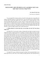 Đề tài thách thức đối với pháp luật lao động việt nam khi việt nam gia nhập WTO   luận văn, đồ án, đề tài tốt nghiệp 