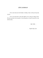 Tìm hiểu đặc tính của chủng vi rút dengue típ 1 gây dịch tại hà nội từ năm 2000 đến nay 