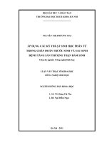 Áp dụng các kỹ thuật sinh học phân tử trong chẩn đoán trước sinh và sau sinh bệnh tăng sản thượng thận bẩm sinh 
