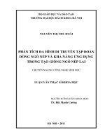 Phân tích đa hình di truyền tập đoàn dòng ngô nếp và khả năng ứng dụng trong tạo giống ngô nếp lai 