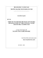 Thiết kế vector nhị thế mang gen mã hóa hemagglutinin từ virus cúm gia cầm để chuyển hóa vào bèo tấm 