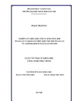 Nghiên cứu điều kiện tối ưu sinh tổng hợp pullulan và khảo sát điều kiện thu hồi pullulan từ aureobasidium pullulan IFO 4594 
