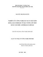Nghiên cứu công nghệ sản xuất chất kìm hãm α glucosidase từ đậu tương lên men bằng nấm mốc aspergillus oryzae 