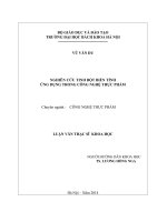 Nghiên cứu tinh bột biến tính ứng dụng trong công nghệ thực phẩm