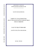Nghiên cứu làm sạch bệnh virus cho cây tỏi (allium sativum  l) bằng kỹ thuật nuôi cấy meristem 