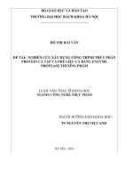 Nghiên cứu xây dựng quy trình thủy phân protein cá tạp và phế liệu cá bằng enzyme protease thương phẩm 