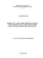 Nghiên cứu và phát triển chế phẩm vi khuẩn lactic có khả năng ức chế vi sinh vật độc hại và ứng dụng trong lên men rau quả 
