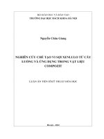Nghiên cứu chế tạo vi sợi XENLULO từ cây luồng và ứng dụng trong vật liệu COMPOZIT 