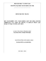 Nghiên cứu tách dòng gen mã hóa enzym fibrinaza của một số chủng vi khuẩn phân lập được từ đậu tương lên men 