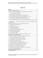 Nghiên cứu quy trình sản xuất rượu đặc sản từ nguyên liệu nếp cái hoa vàng ở việt nam 