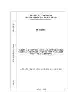 NGHIÊN cứu CHỌN tạo GIỐNG lúa KHANG dân CHỊU NGẬP BẰNG PHƯƠNG PHÁP CHỈ THỊ PHÂN tử (MARKER ASSISTED BACKCROSSING) 