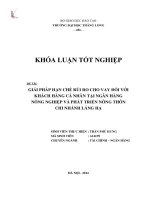 Giải pháp hạn chế rủi ro cho vay đối với khách hàng cá nhân tại ngân hàng nông nghiệp và phát triển nông thôn chi nhánh láng hạ (Khóa luận tốt nghiệp)