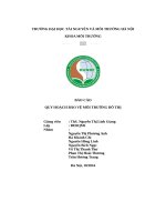 BÁO CÁO QUY HOẠCH BẢO VỆ MÔI TRƯỜNG ĐÔ THỊ